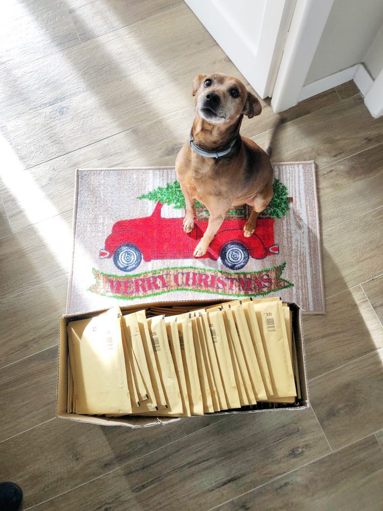 Tempi di spedizione a Natale