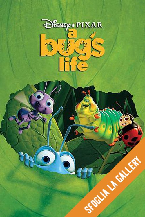 Bug’s life