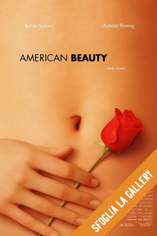 American Beauty