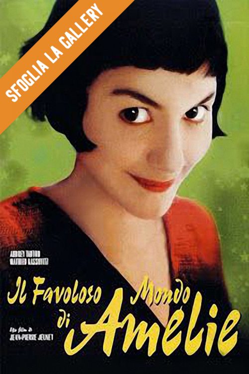 Favoloso mondo di Amelie (il)