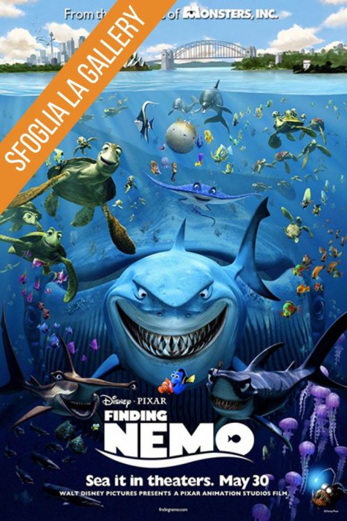 Alla ricerca di Nemo